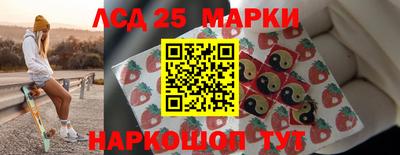 шишки Лесосибирск
