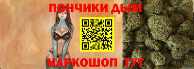шишки Лесосибирск